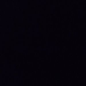 Meet your Posher, Bella